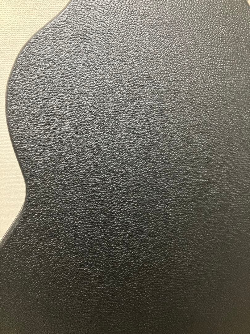 MORRIS モーリス s91Ⅲ ハードケース有