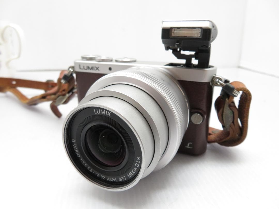 パナソニック ミラーレス 一眼カメラ LUMIX DMC-GM1S 標準レンズ