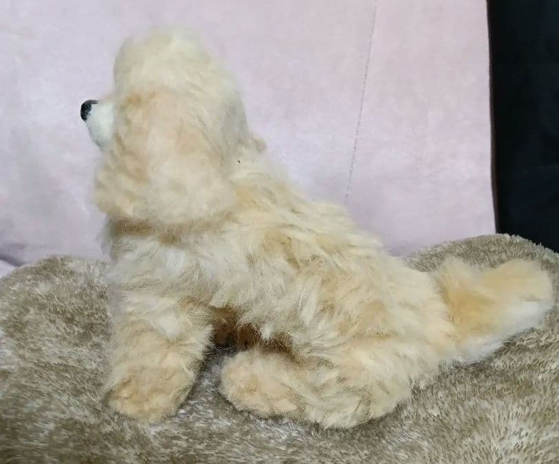 アメリカンコッカースパニエル 羊毛フェルト