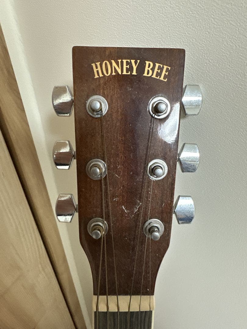 HONEY BEE（ハニービー） アコースティックギター F-15 N