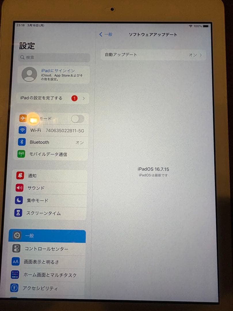 iPad 第5世代 32GB Wi-Fi＋Cellular ゴールド本体