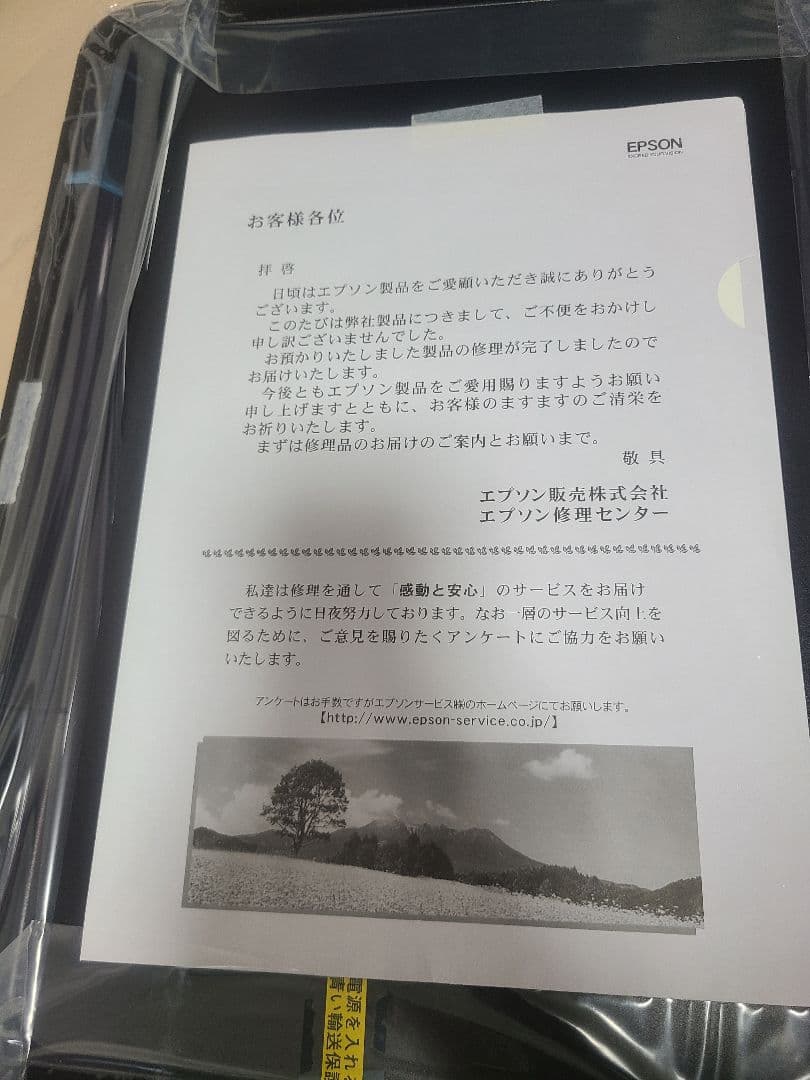 Ｘ*Ｚ様 EPSON EP-801A プリンター本体