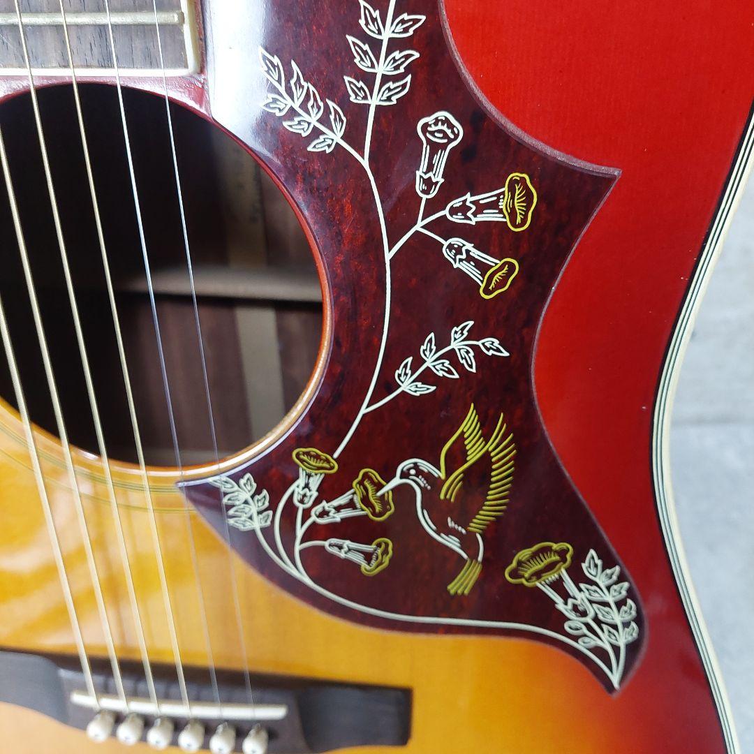 【激レア】 Pearl アコギ ハミングバード HUMMING BIRD 林楽器