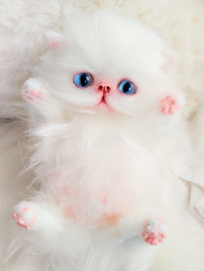 子猫のぷーたん❤エキゾチック♡お腹ぽっこり♡アートドール♡ぬいぐるみ♡