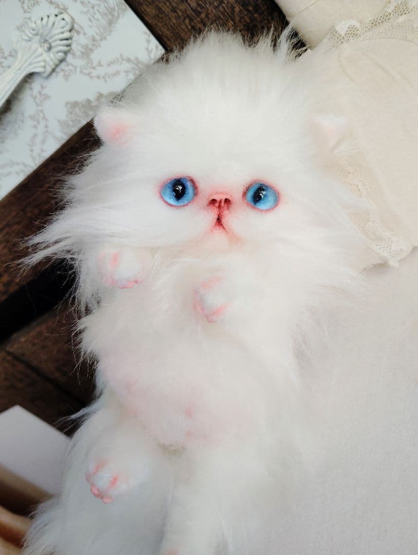 子猫のぷーたん❤エキゾチック♡お腹ぽっこり♡アートドール♡ぬいぐるみ♡