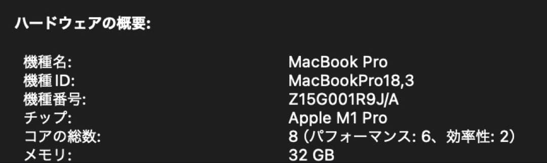 【美品】MacBook Pro 14 M1 32GB 1TB 2021 箱あり