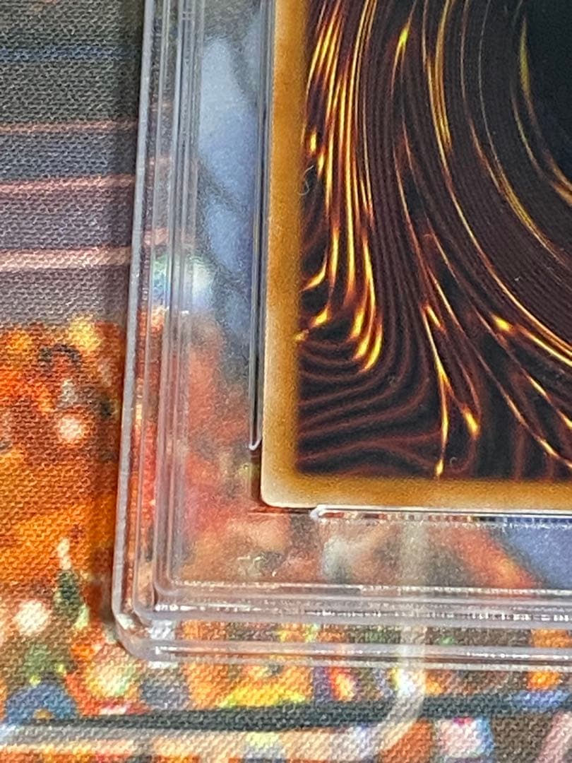 PSA10 遊戯王 ガーデン ローズ メイデン 25th