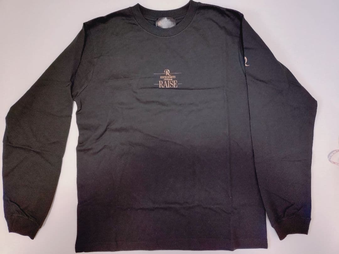 堂本光一 RAISE グッズ セット おまけにメモリアルチケット＆ロゴステッカー