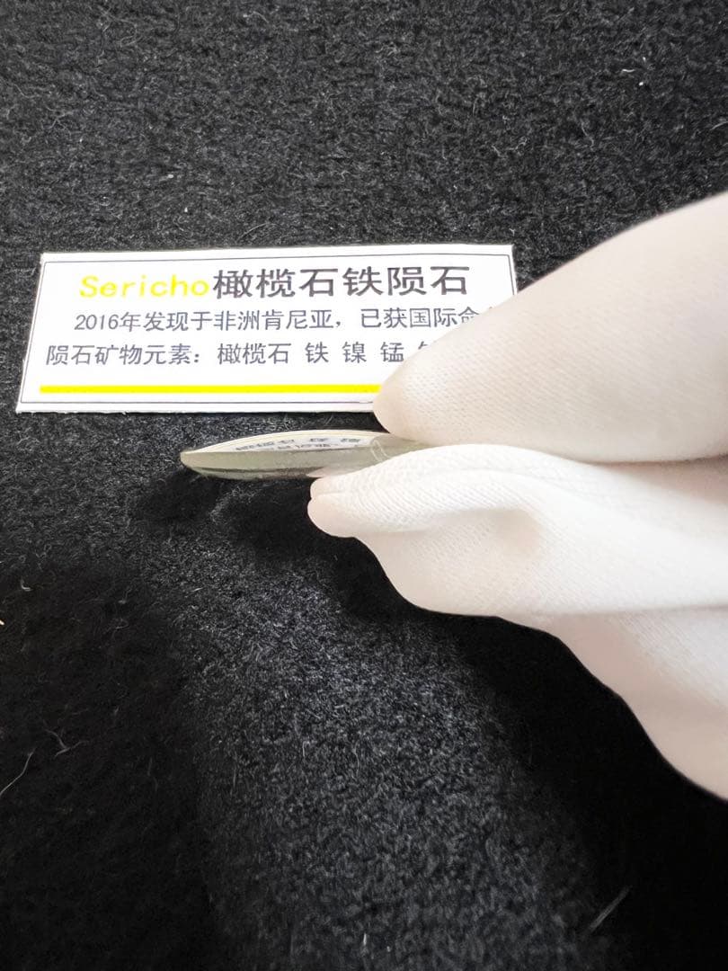 １点のみ　パラサイト隕石