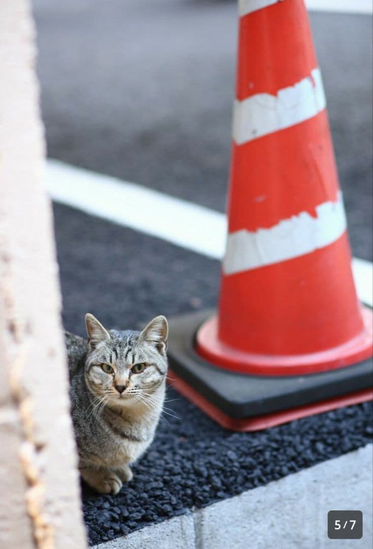高画質！良質な背景ボケ！とろけるような味！描写力！単焦点レンズ！人物撮影に最適！