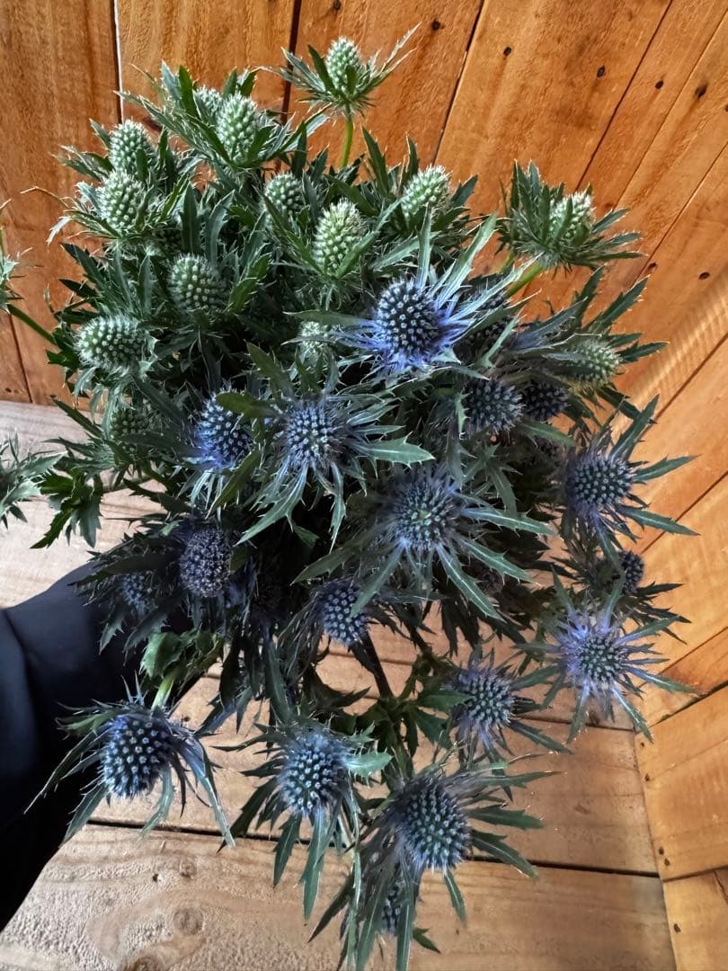 Doro様 リクエスト 2点 まとめ商品