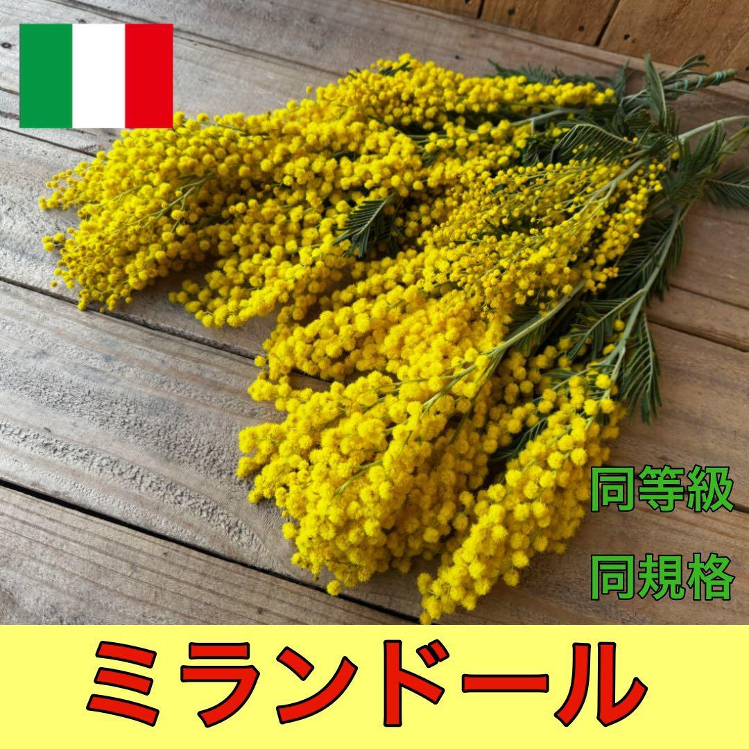 Doro様 リクエスト 2点 まとめ商品