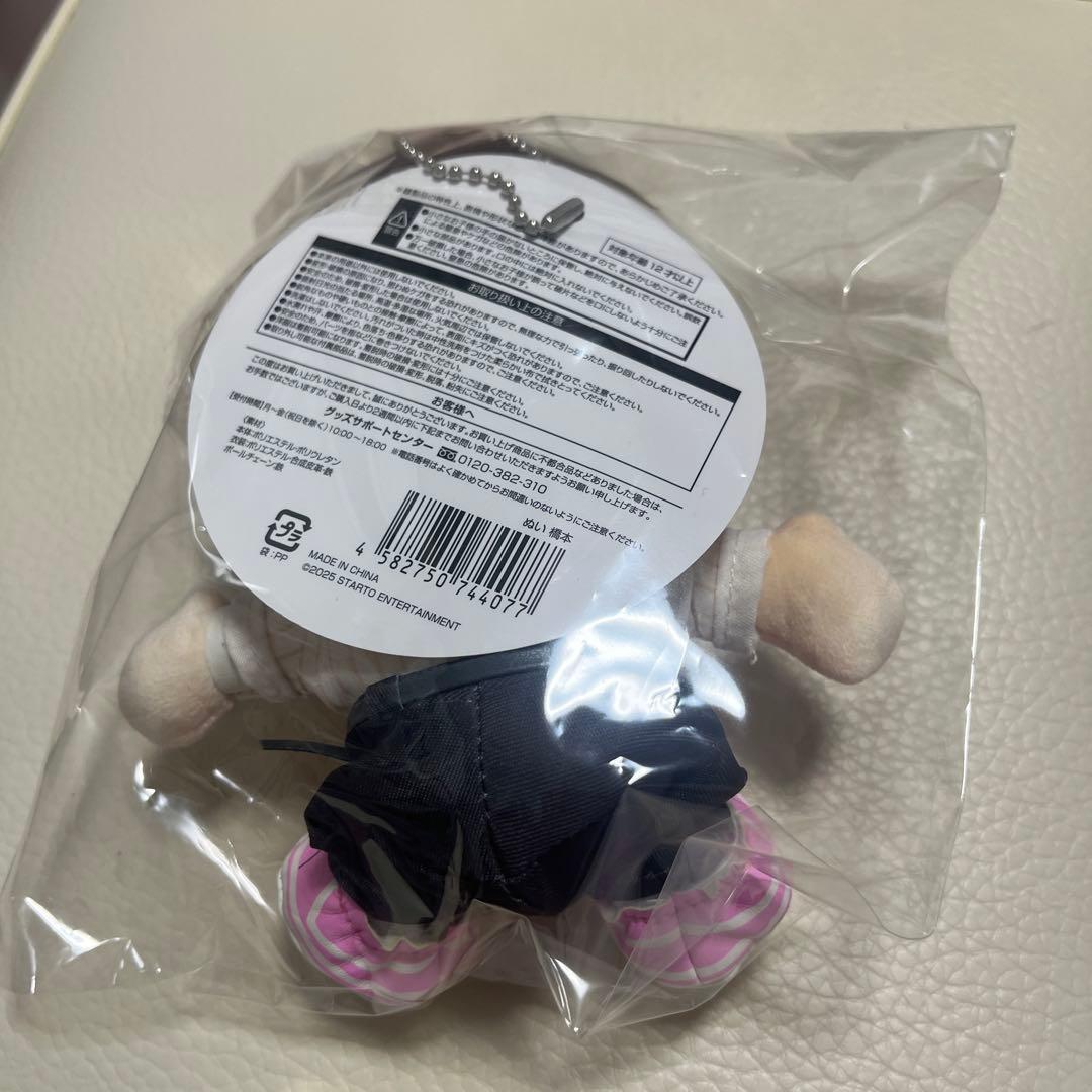新品未開封品 橋本将生 timelesz ぬいFAM DOME