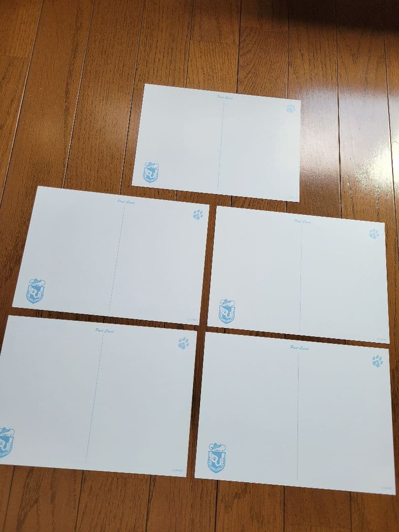 Disney UniBEARsity Lesson One IDカード付き