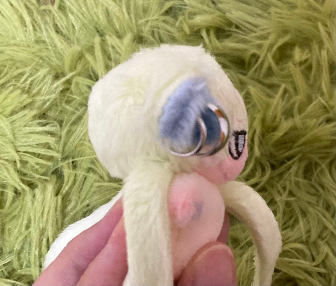 セミオーダー・百鳥