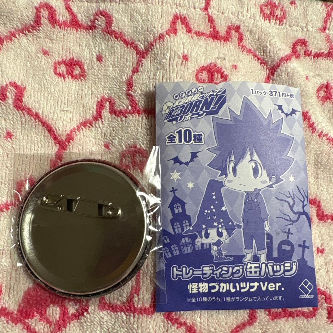 家庭教師ヒットマンREBORN! ジャンプフェスタ 2017 缶バッジ 獄寺隼人