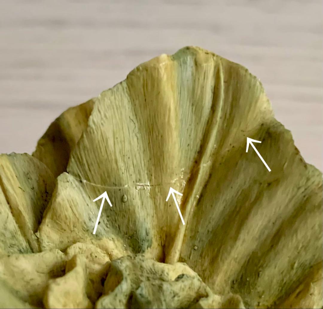 【難あり】フロプシーのこどもたち 限定版 フィギュリン ピーターラビット 置物