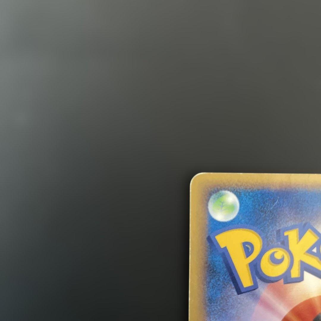 レックウザ ポケパークプレミアムファイル009/009 ホロ ポケモンカード