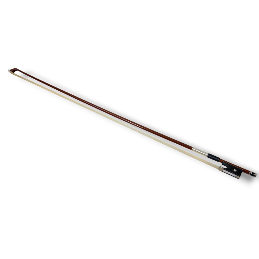 【初心者おすすめ】カルロジョルダーノ EV-202 エレキバイオリン 赤 弦楽器