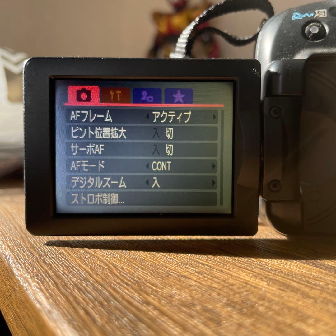 美品Canon PowerShot SX10 IS 単三電池×4 値下げ交渉可