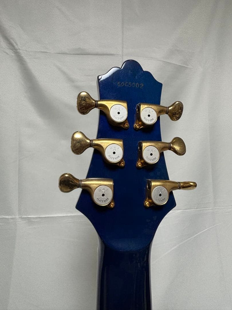 フジゲン FUJIGEN F&C Anboy GF-80