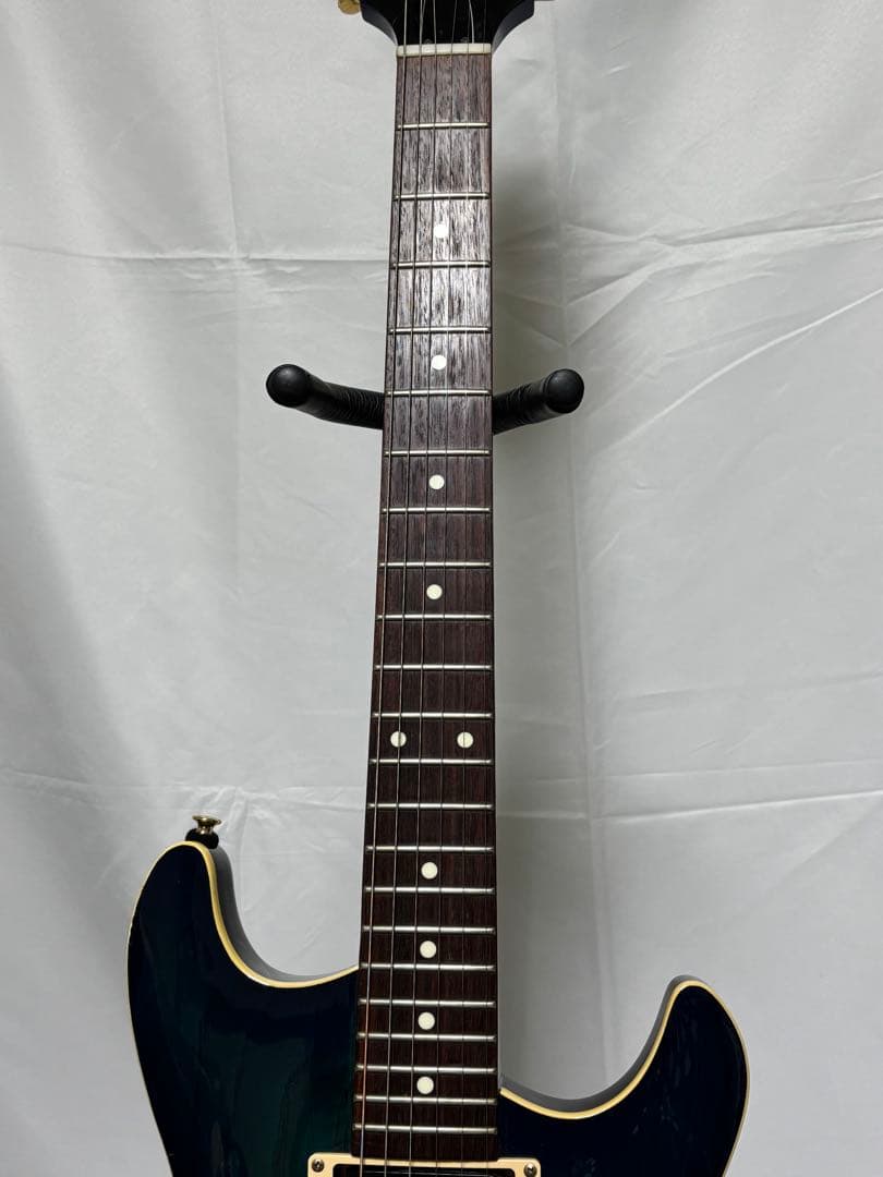 フジゲン FUJIGEN F&C Anboy GF-80