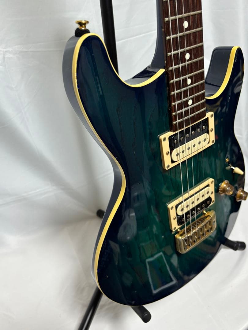 フジゲン FUJIGEN F&C Anboy GF-80