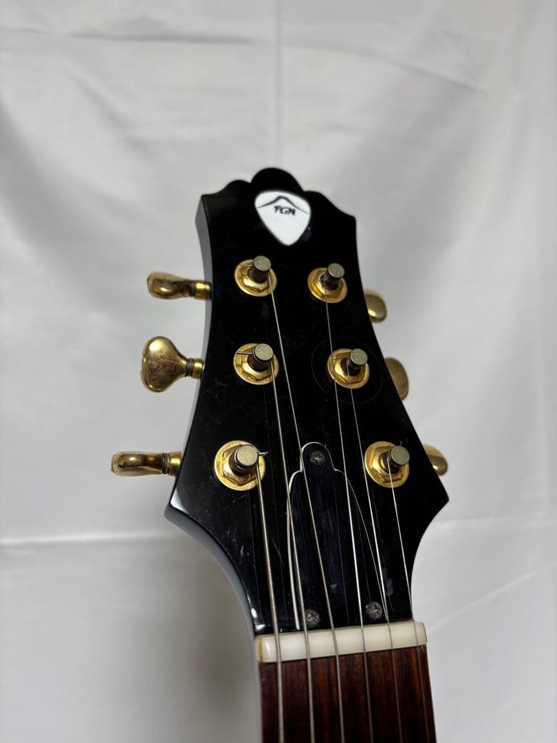 フジゲン FUJIGEN F&C Anboy GF-80