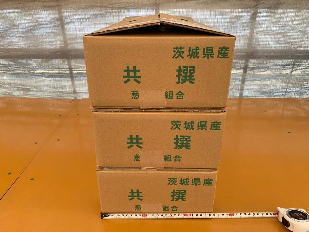 茨城県産 長ネギ 15キロ（5キロ×3箱）