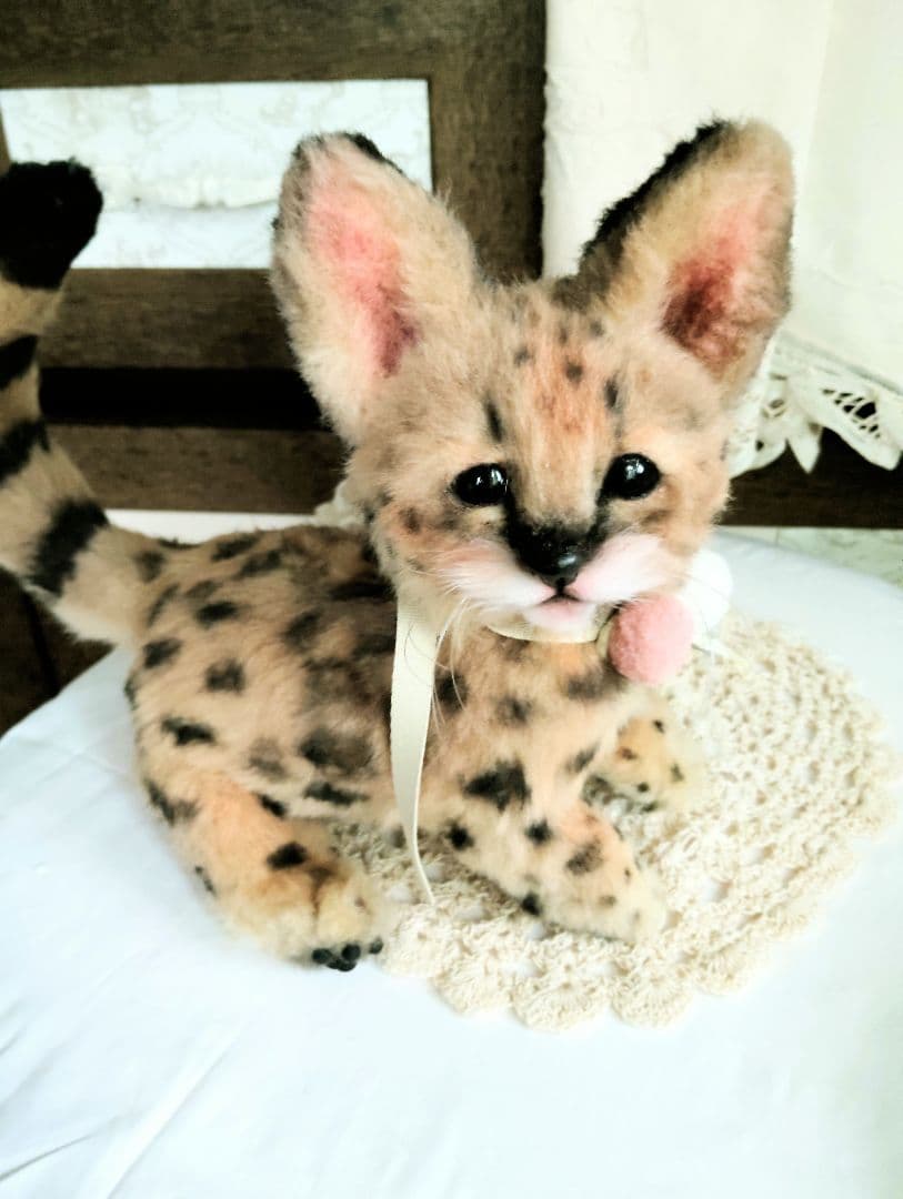 生後２ヶ月♡ベビーサーバルキャット♡アートドール♡ぬいぐるみ♡子猫ちゃん♡