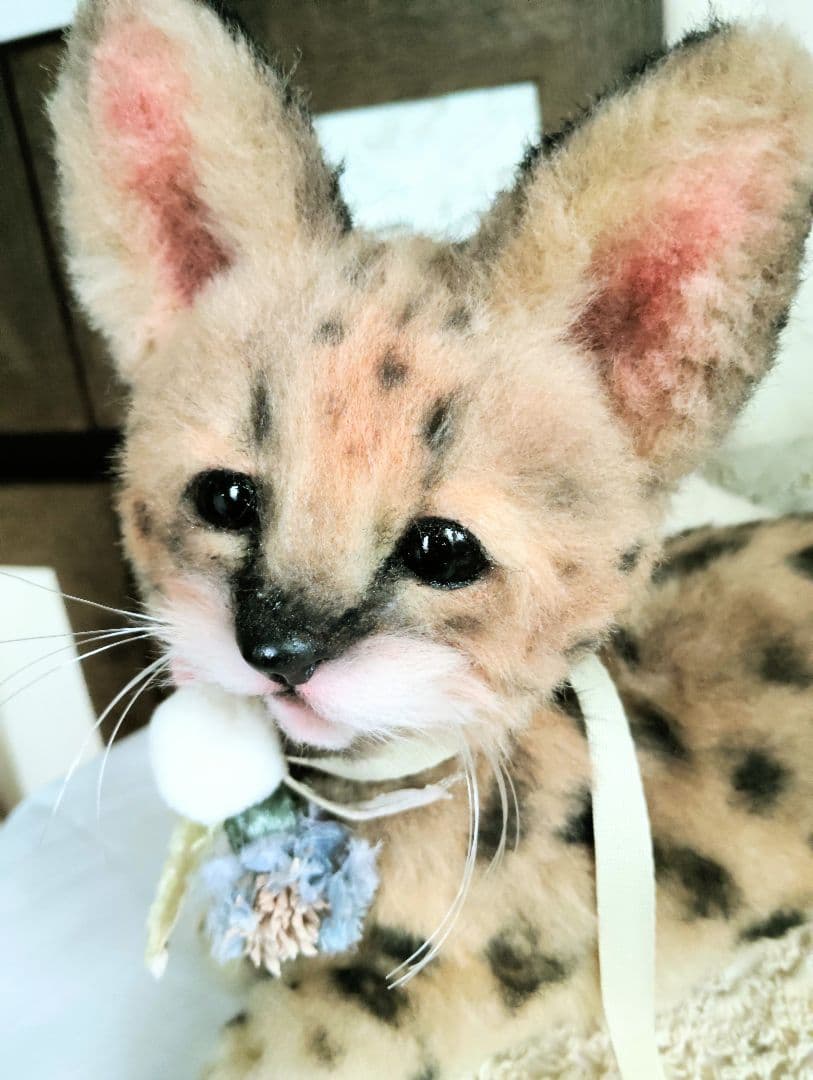 生後２ヶ月♡ベビーサーバルキャット♡アートドール♡ぬいぐるみ♡子猫ちゃん♡