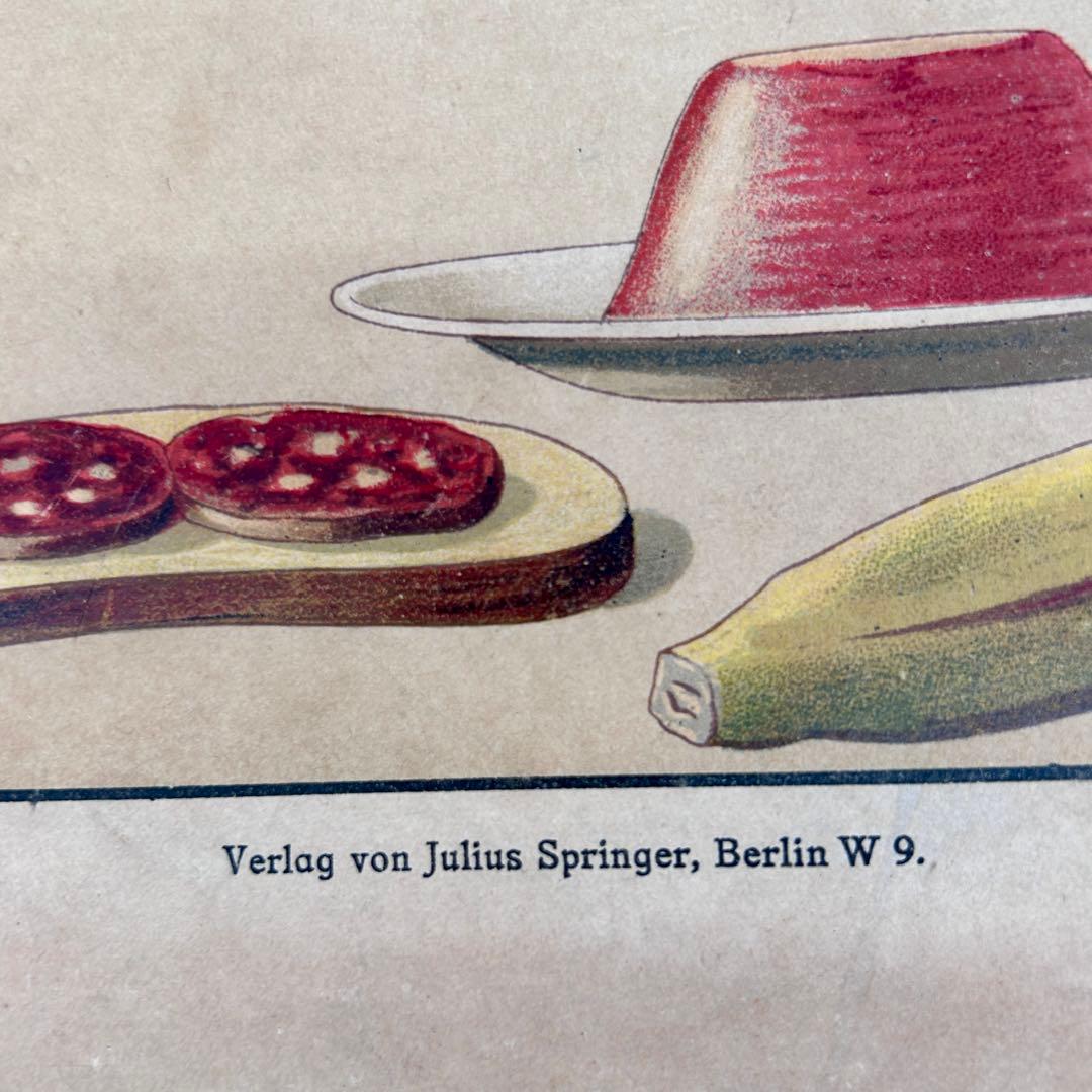 1927年 ドイツ製ベルリン ユリウス・シュプリンガー児童医療ポスター① A2判