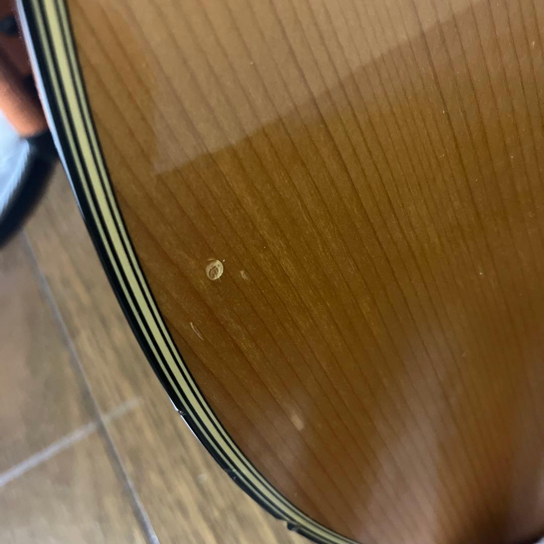 Morris アコースティックギター MD-502