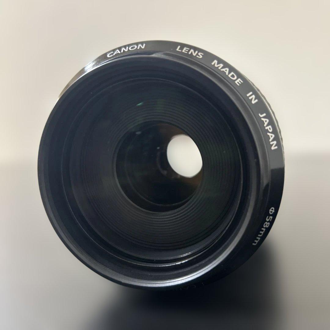 Canon EF 70 300mm F4 5.6 IS USM ズームレンズ
