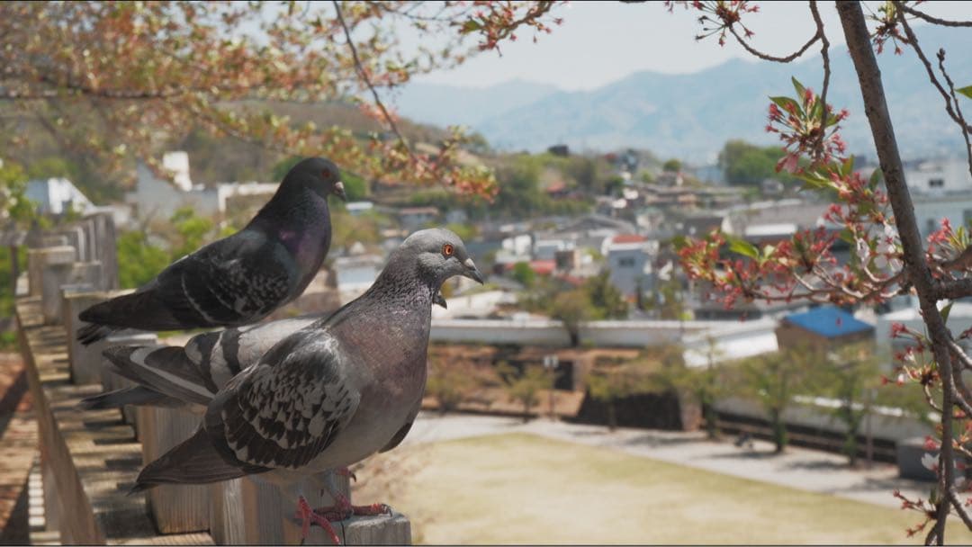 Fujifilm X-A3ミラーレスカメラ シルバーフジフィルム