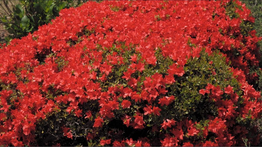 Fujifilm X-A3ミラーレスカメラ シルバーフジフィルム