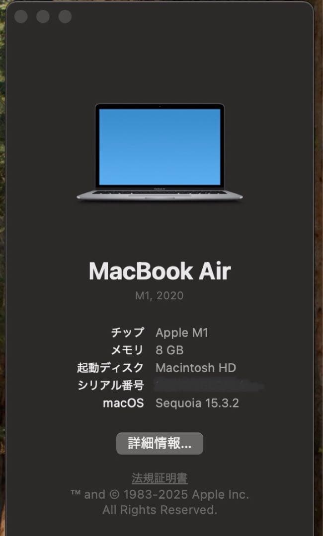 Apple MacBook Air M1 バッテリー容量100%