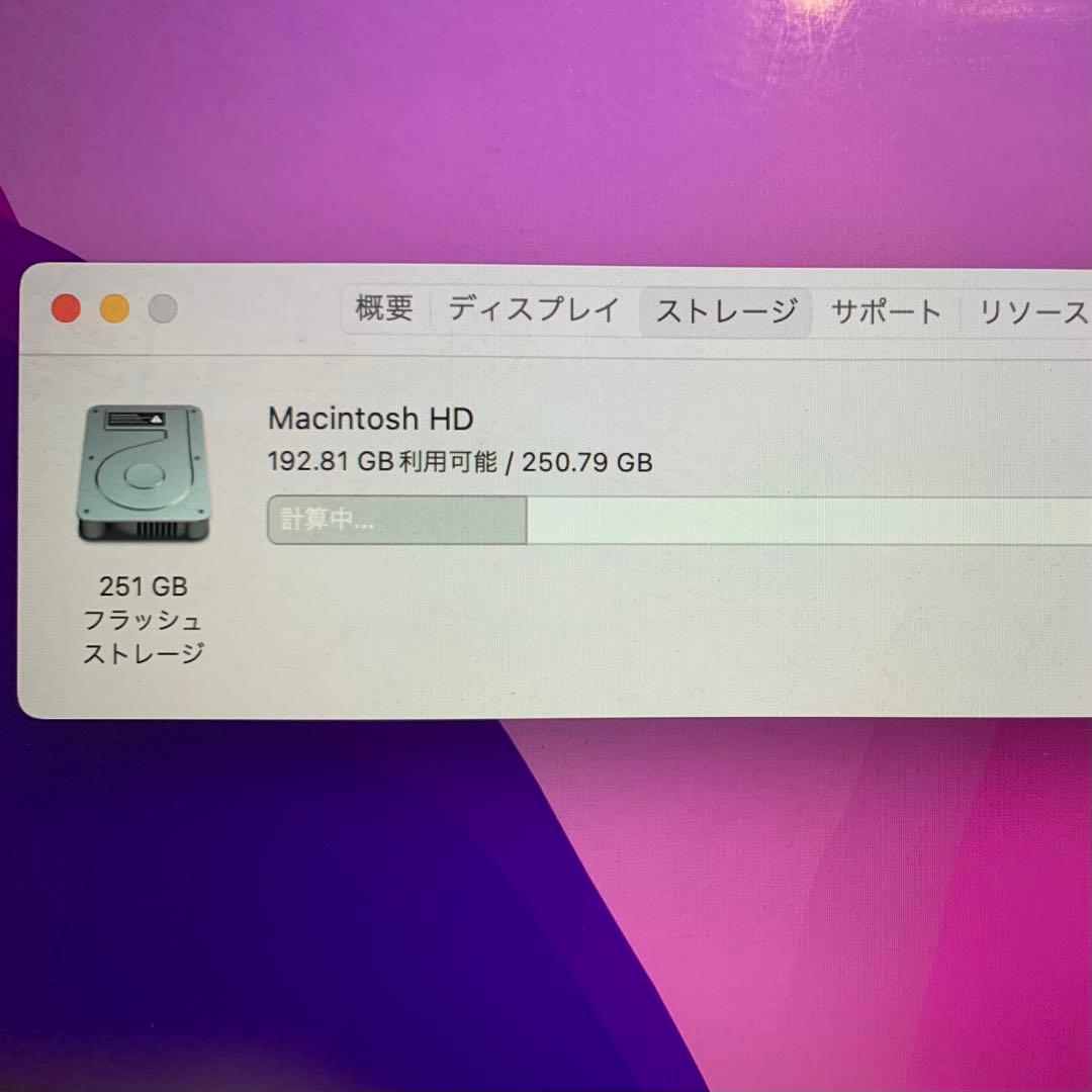 MacBook Pro 250GB (Retina, 15インチ, 2015)