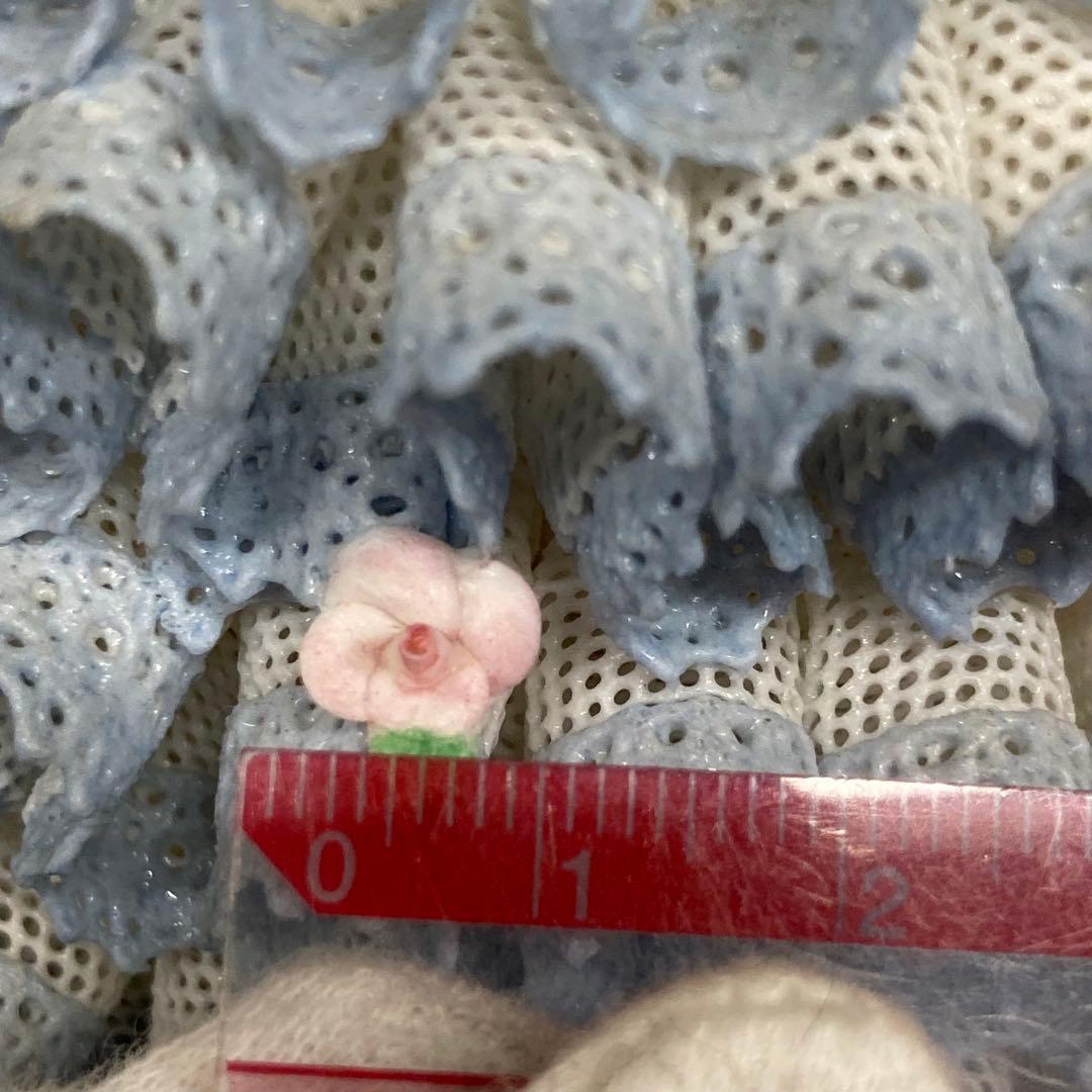 IRISH DRESDEN アイリッシュドレスデン 陶器 磁器人形H