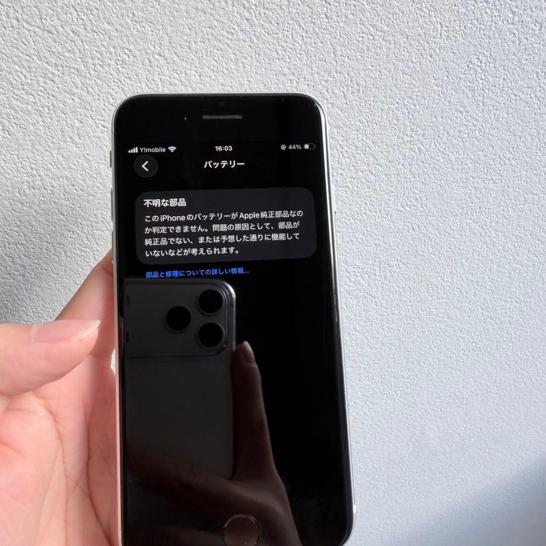 iPhone SE 第2世代 PT100%