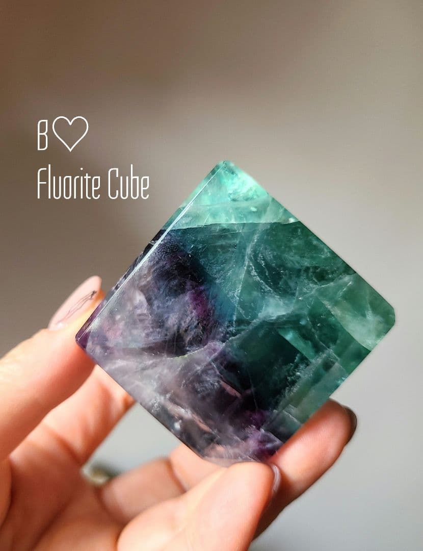 ①マダラさま♡