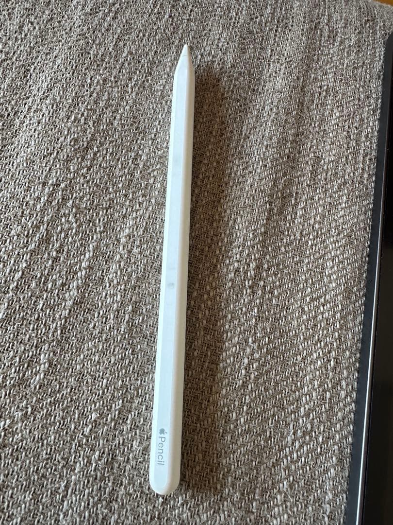 iPad pro 12.9 512 WiFi＋Cellular 超美品 付属品