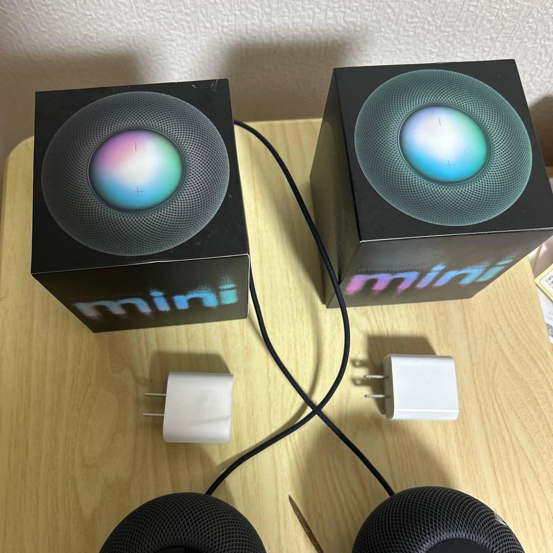 Apple Pod mini スペースグレイ