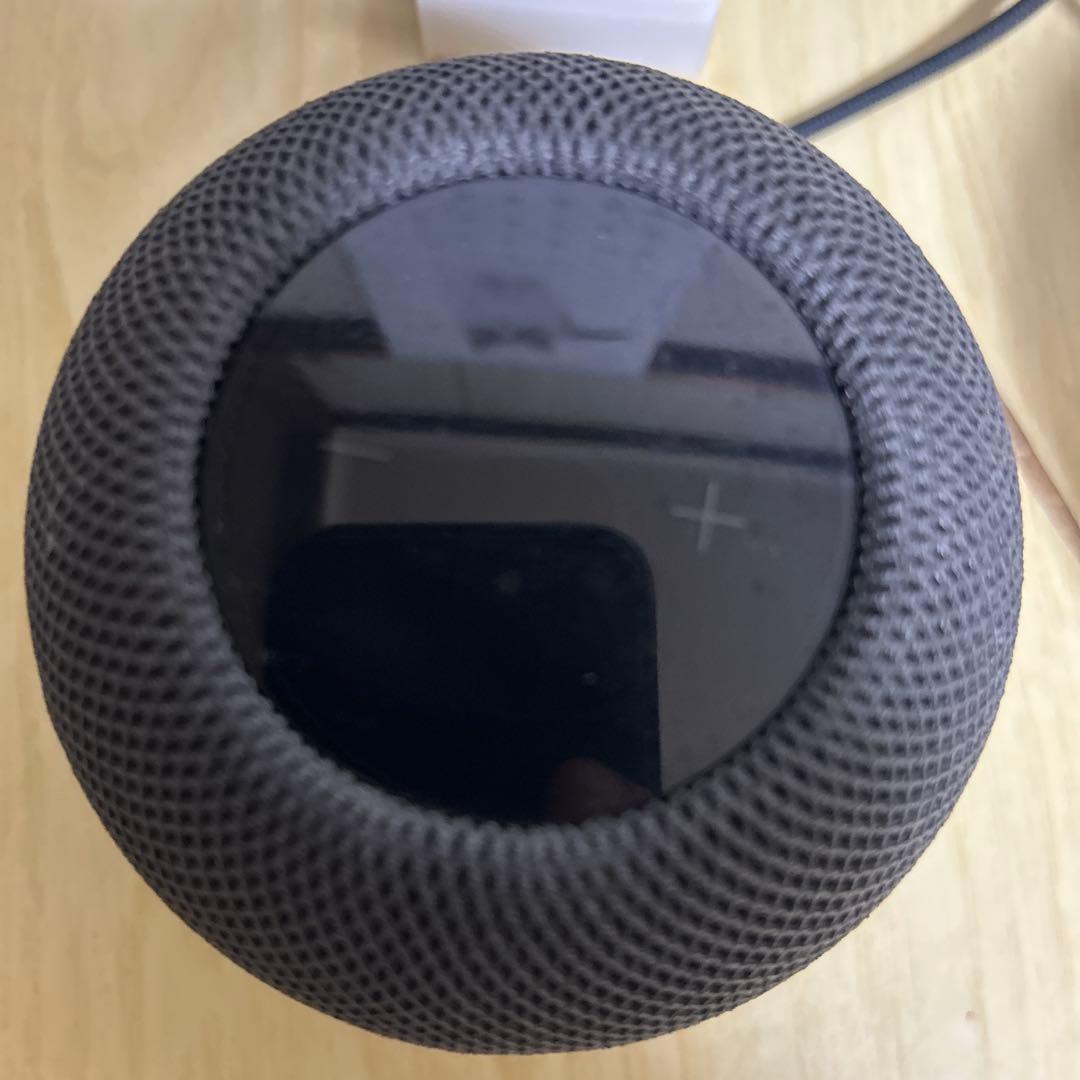Apple Pod mini スペースグレイ