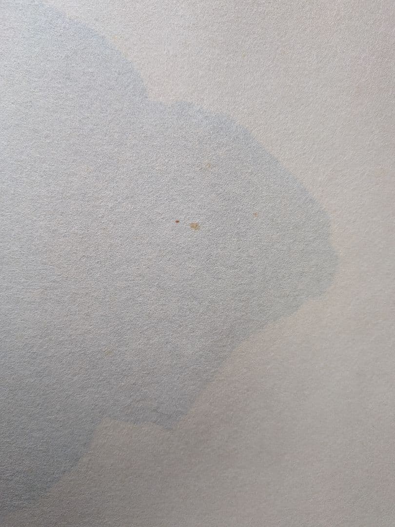 No.6 掛軸　書　前大徳老師　須賀玄道　六字名号「南無阿弥陀仏」共箱