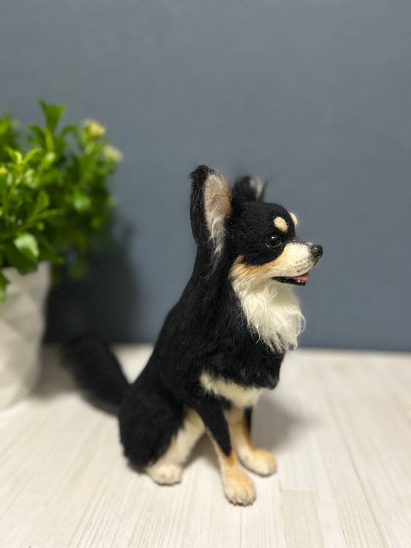 羊毛フェルトチワワ　ちゃみ様用