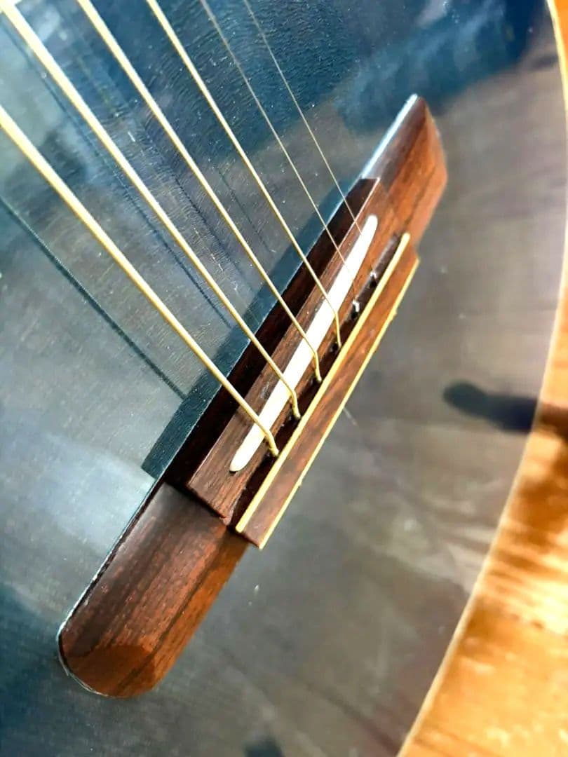 【送料込】【美品】Morris Rumbler エレアコ　整備済