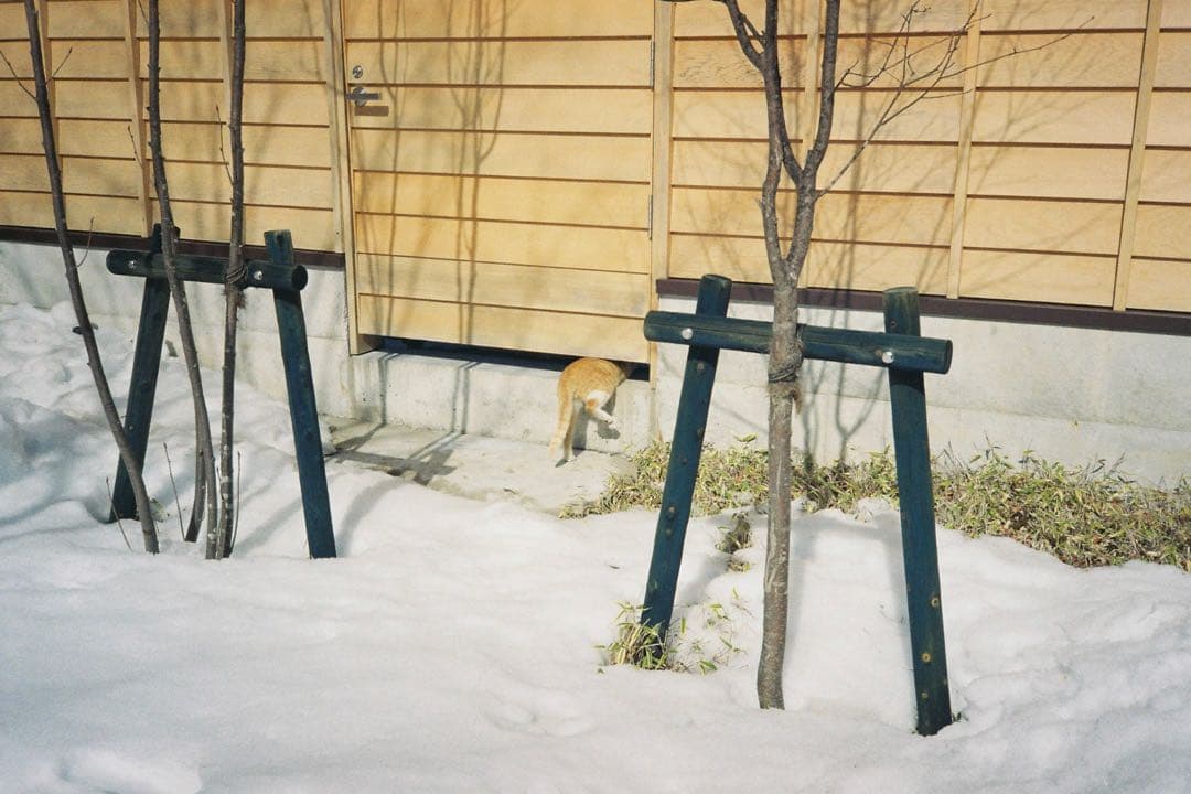 【撮影済み】Nikon Lite Touch Zoom 120 フィルムカメラ