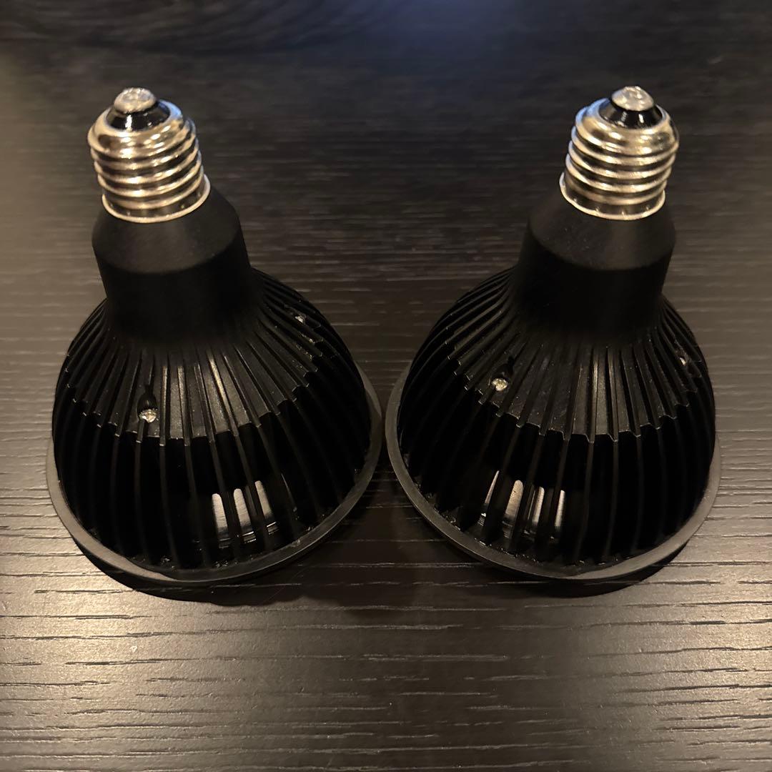 NEO AMATERAS 20W 2個セット　アガベ　植物育成LEDライト