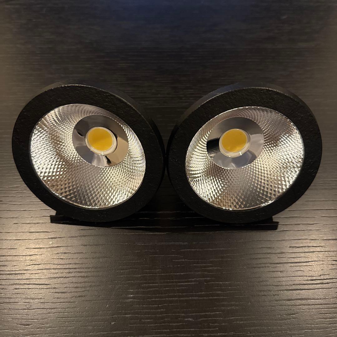 NEO AMATERAS 20W 2個セット　アガベ　植物育成LEDライト